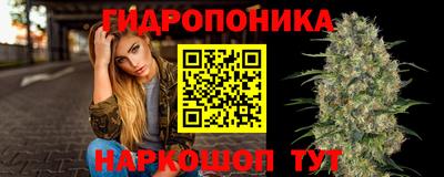 apvp Коммунар